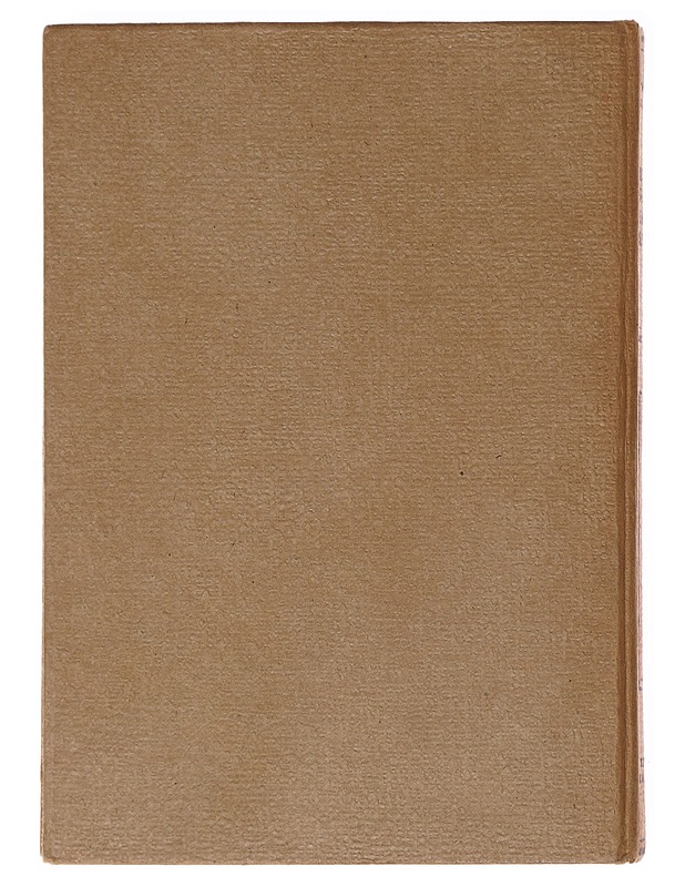 Kunnon sotamies Shveikin seikkailut 2 - Hashek, Jaroslav - Romaanit ja novellit - 10105580684 - 1