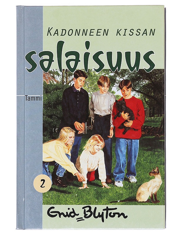 Kadonneen kissan salaisuus - Blyton, Enid - Lastenkirjat - 10105580887 - 0