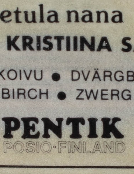 PENTIK Vaivaiskoivu seinätaulu - Designsuosikit - 10105580947 - 2