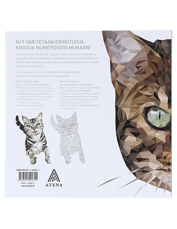 Väritä kissoja : 60 geometrista taidekuvaa. Miau! - Karaduman, Çetin Can - Tietokirjat ja oppaat - 10105581649 - 1