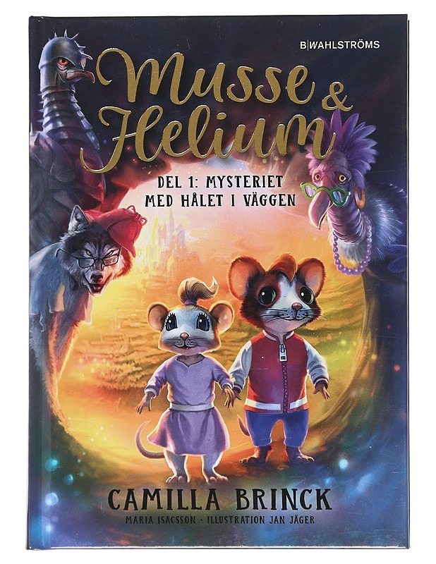 Mysteriet med hålet i väggen - Brinck, Camilla - Lastenkirjat - 10105581970 - 0