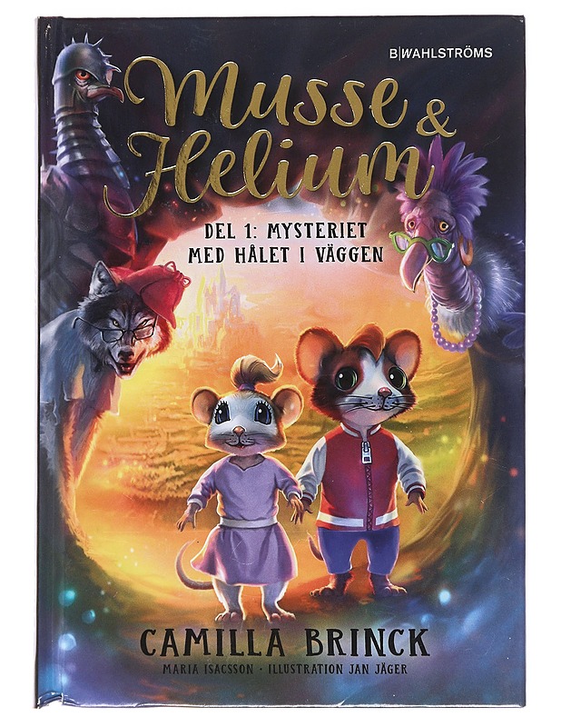 Mysteriet med hålet i väggen - Brinck, Camilla - Lastenkirjat - 10105581977 - 0