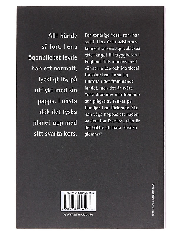 Efter kriget - Palmer, Tom - Romaanit ja novellit - 10105581982 - 1