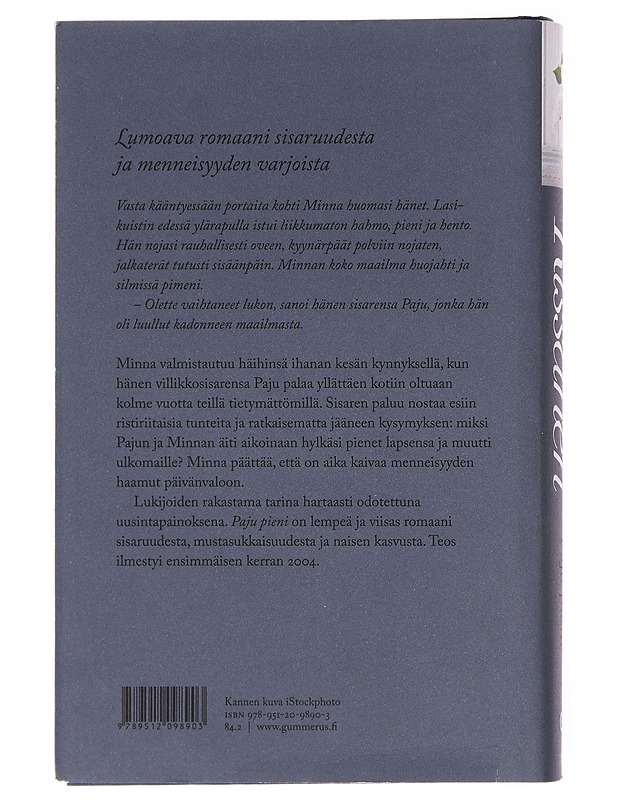 Paju pieni - Pirjo Rissanen - Romaanit ja novellit - 10105582003 - 1