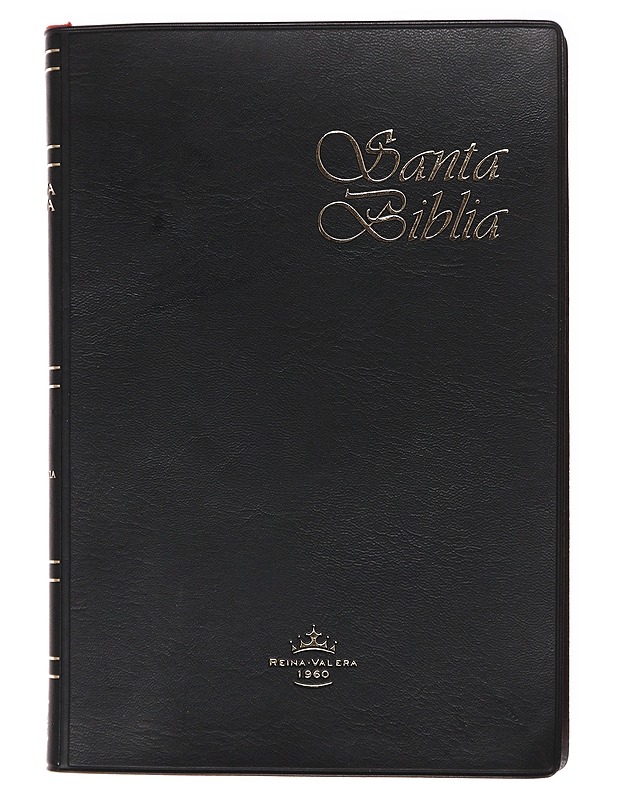 Santa Biblia - Harrastekirjat - 10105582076 - 0