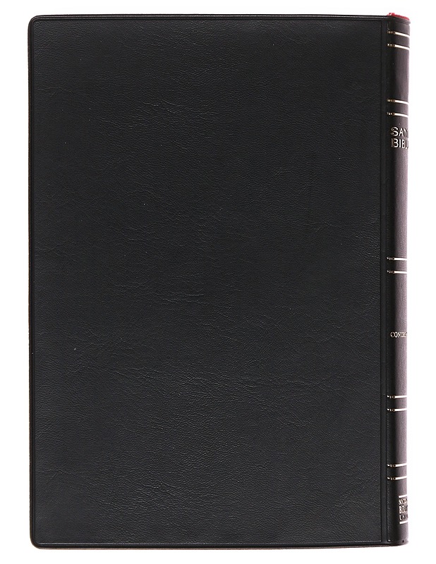 Santa Biblia - Harrastekirjat - 10105582076 - 1