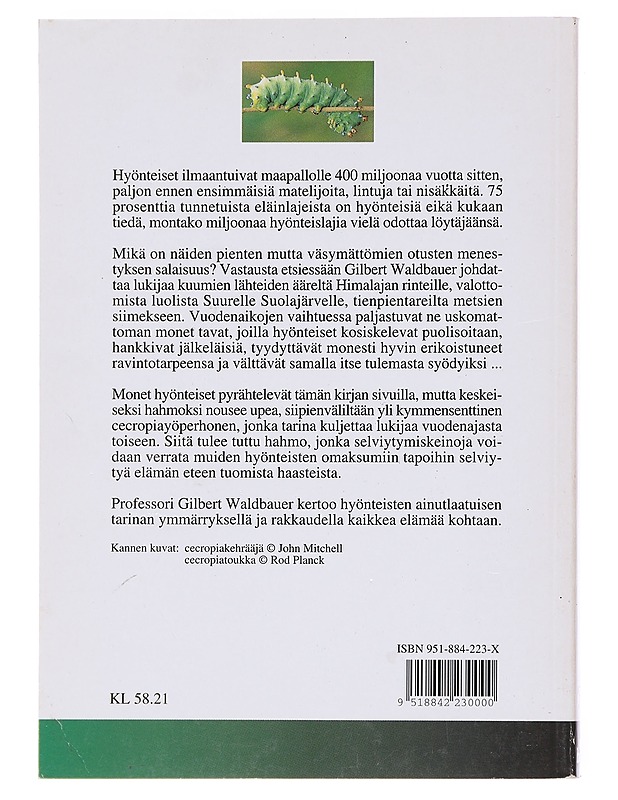 Hyönteiset vuodenaikojen vaihtelussa - Waldbauer, Gilbert - Tietokirjat ja oppaat - 10105582710 - 1