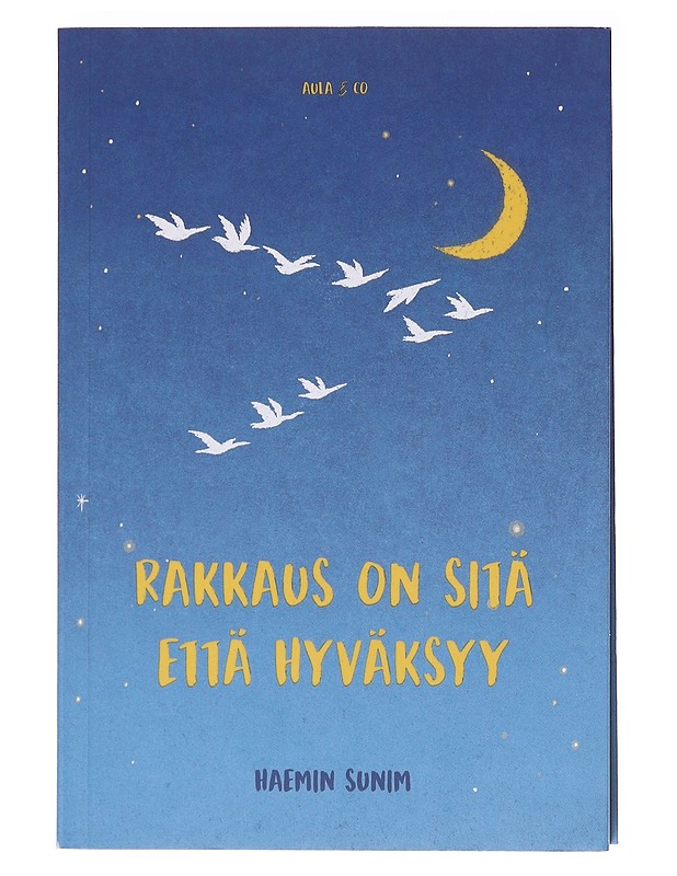 Rakkaus on sitä että hyväksyy - Haemin Sunim - Tietokirjat ja oppaat - 10105582922 - 0