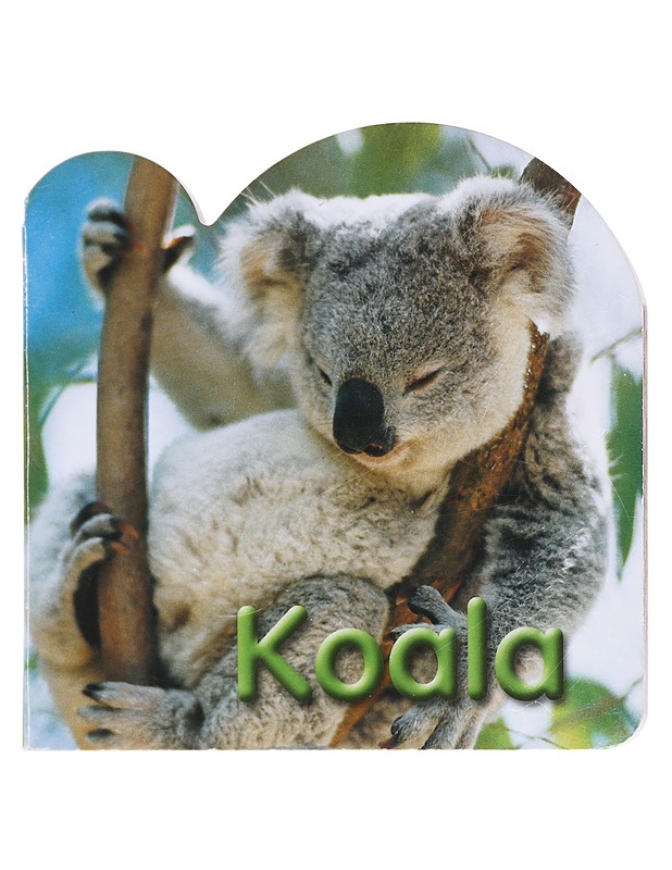 Koala kuvakirja - Lastenkirjat - 10105583288 - 0