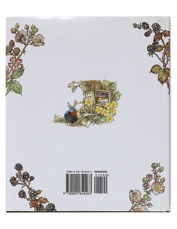 The four seasons of Brambly Hedge - Jill Barklem - Lastenkirjat - 10105583964 - 1