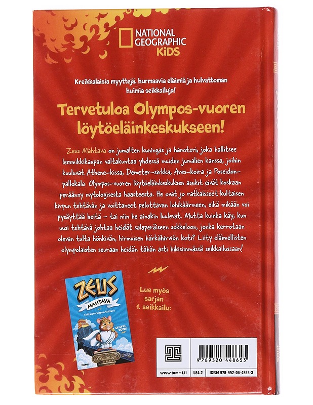 Synkän sarvipään sokkelo - Boyer, Crispin - Lastenkirjat - 10105584083 - 1