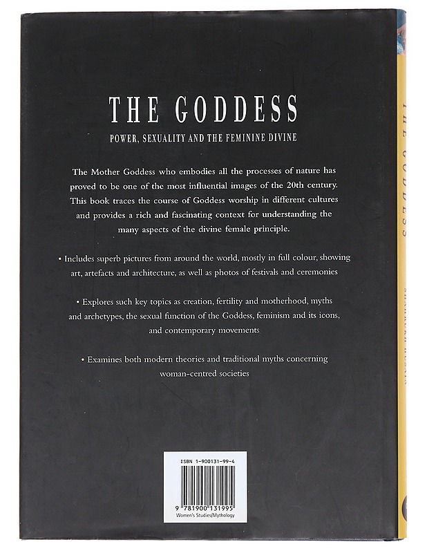 The Goddess - Shahrukh Husain - Kaunokirjallisuus - 10105584158 - 1