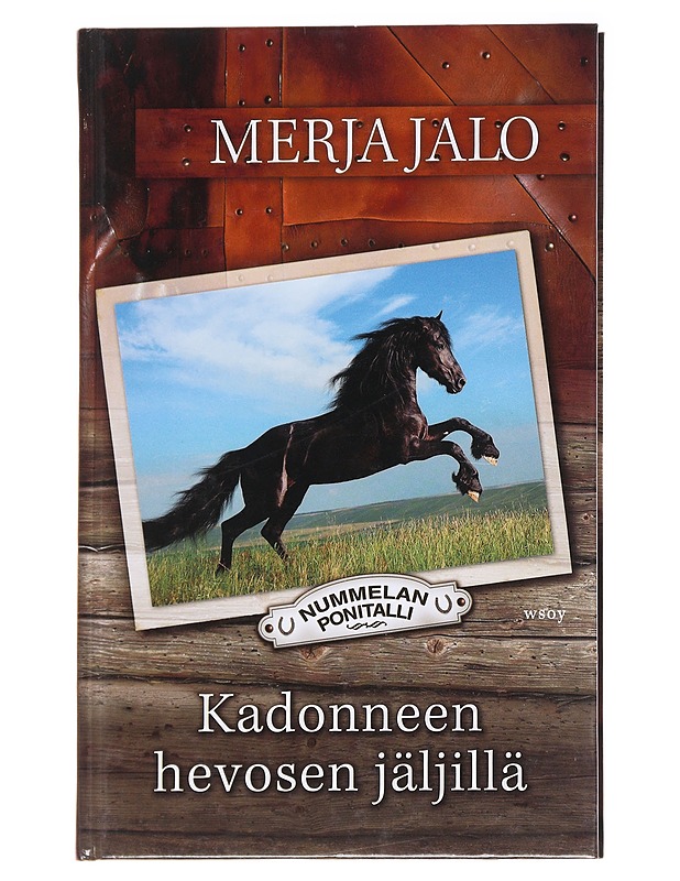 Kadonneen hevosen jäljillä - Merja Jalo - Nuorten kirjat - 10105584573 - 0
