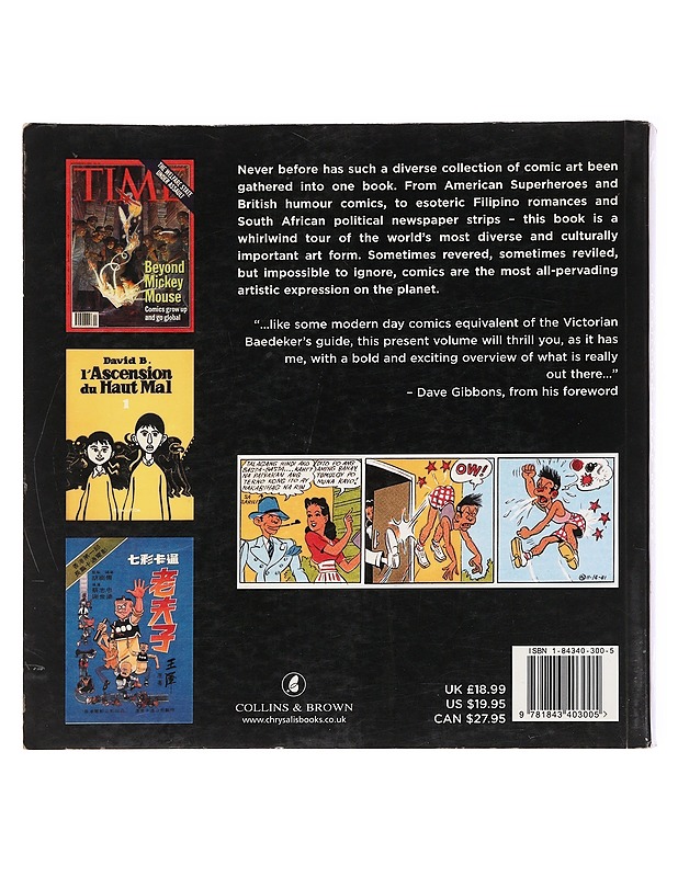 The essential guide to world comics - Pilcher, Tim - Tietokirjat ja oppaat - 10105584684 - 1