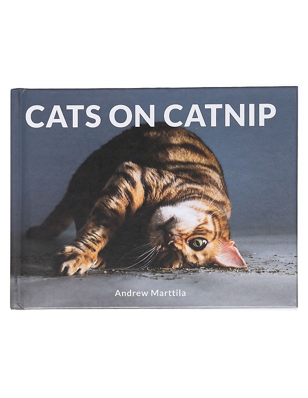 Cats on catnip - Andrew Marttila - Lemmikki- ja luontokirjat - 10105584685 - 0