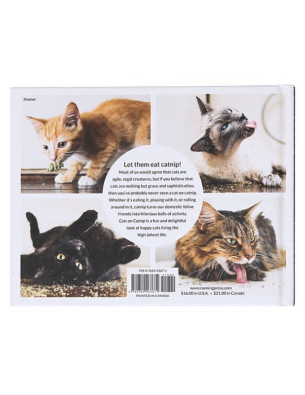 Cats on catnip - Andrew Marttila - Lemmikki- ja luontokirjat - 10105584685 - 1