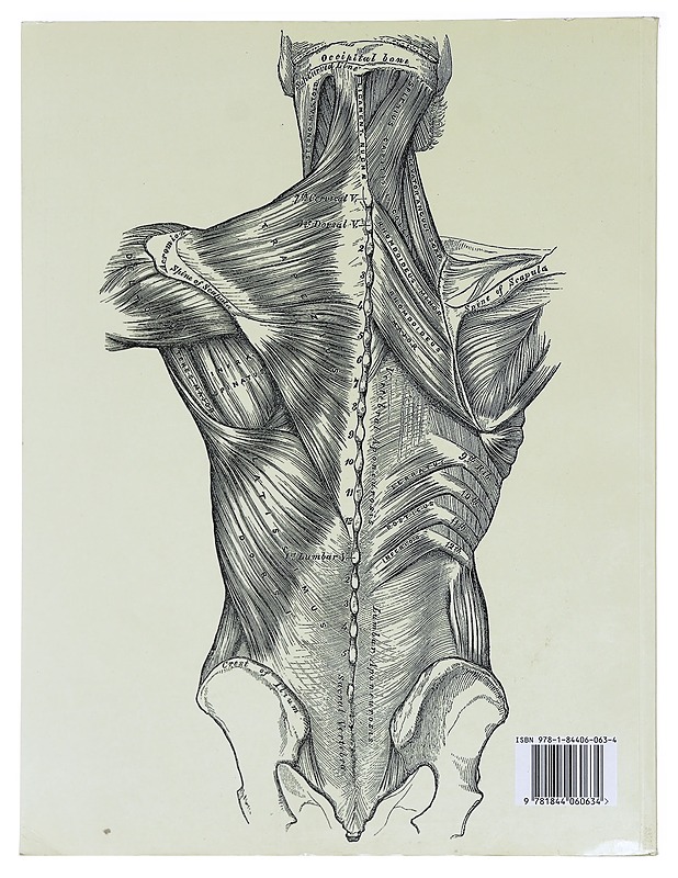 Gray's Anatomy:a facsimile - Tietokirjat - 10105585255 - 1