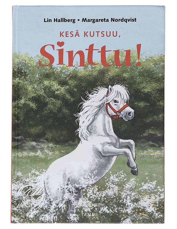 Kesä kutsuu, Sinttu! - Hallberg, Lin - Lastenkirjat - 10105585630 - 0