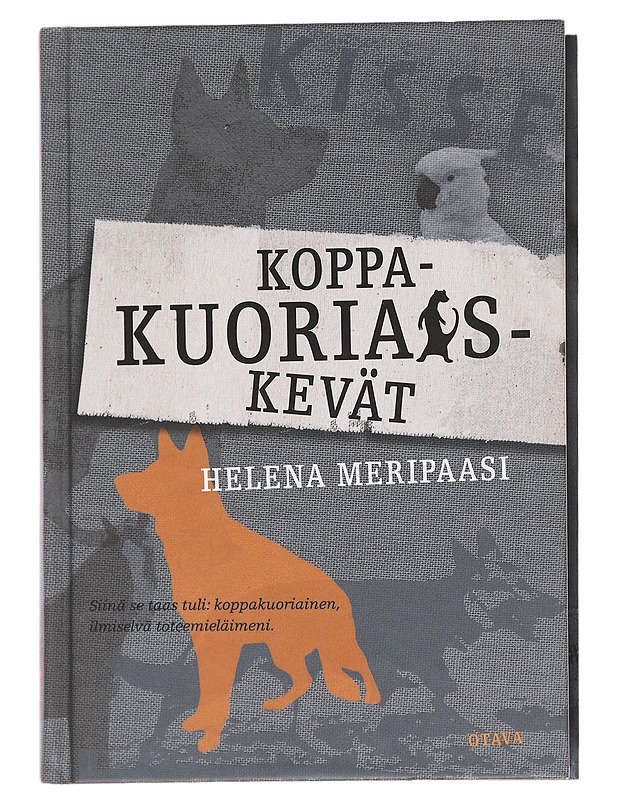 Koppakuoriaiskevät - Helena Meripaasi - Nuorten kirjat - 10105585682 - 0