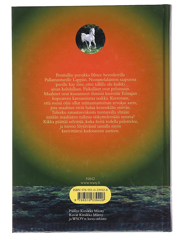Susivaaran aarre - Merja Jalo - Nuorten kirjat - 10105585856 - 1