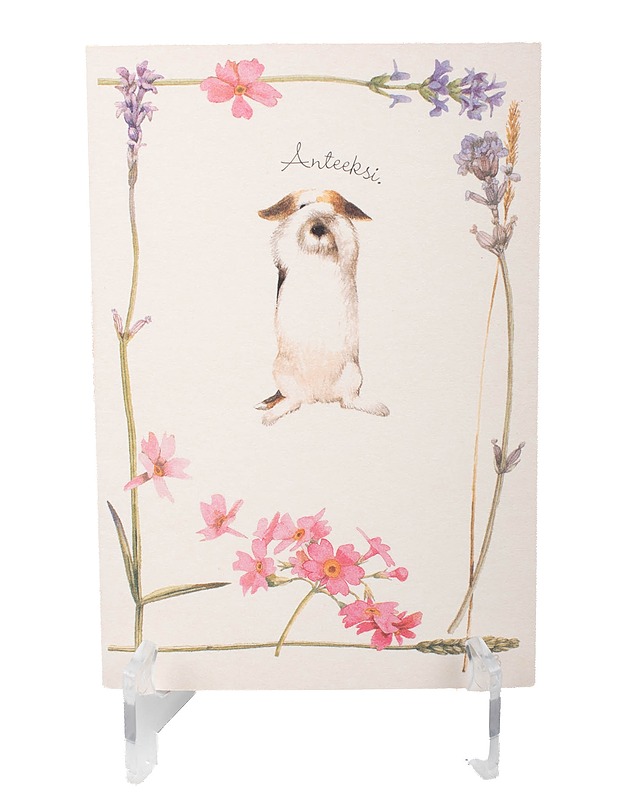 HALLMARK Anteeksi taitekortti - Askartelu - 10105586044 - 0