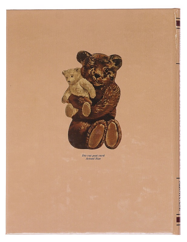 Teddy bears on paper - Susan Brown Nicholson - Käsityökirjat - 10105586347 - 1