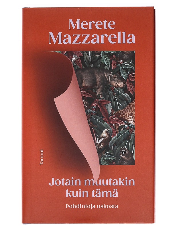 Jotain muutakin kuin tämä / pohdintoja uskosta - Mazzarella, Merete - Elämäkerrat ja muistelmat - 10105586364 - 0