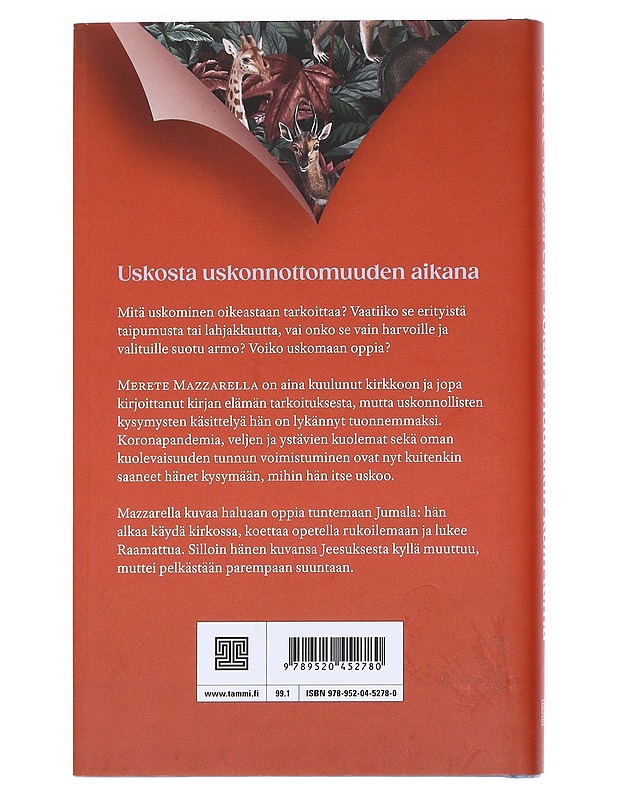 Jotain muutakin kuin tämä / pohdintoja uskosta - Mazzarella, Merete - Elämäkerrat ja muistelmat - 10105586364 - 1