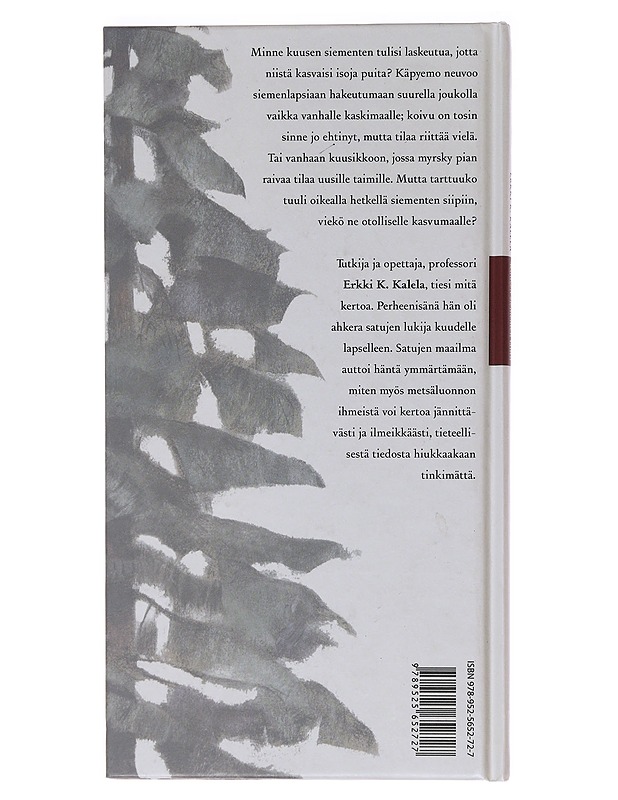 Kuusen siementen lähtö - Kalela, Erkki K. - Lastenkirjat - 10105586703 - 1