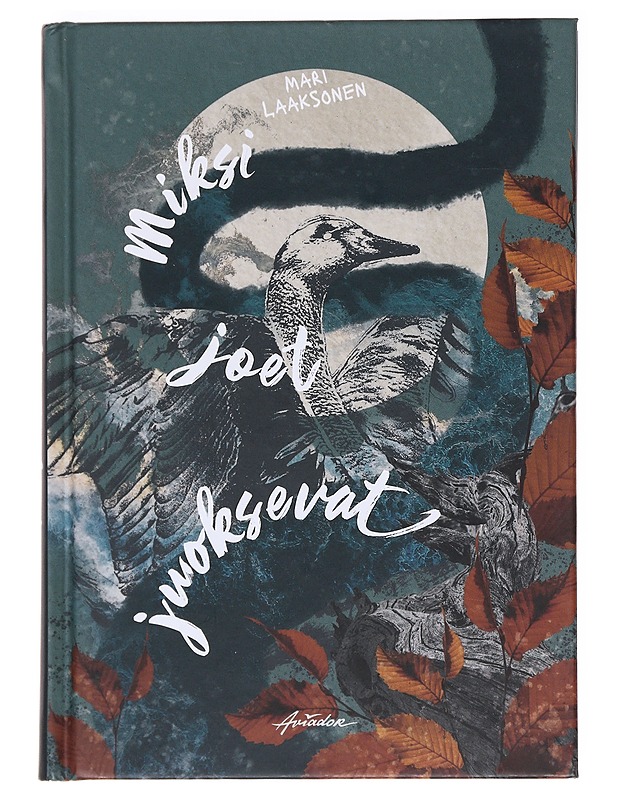 Miksi joet juoksevat - Mari Laaksonen - Romaanit ja novellit - 10105587280 - 0
