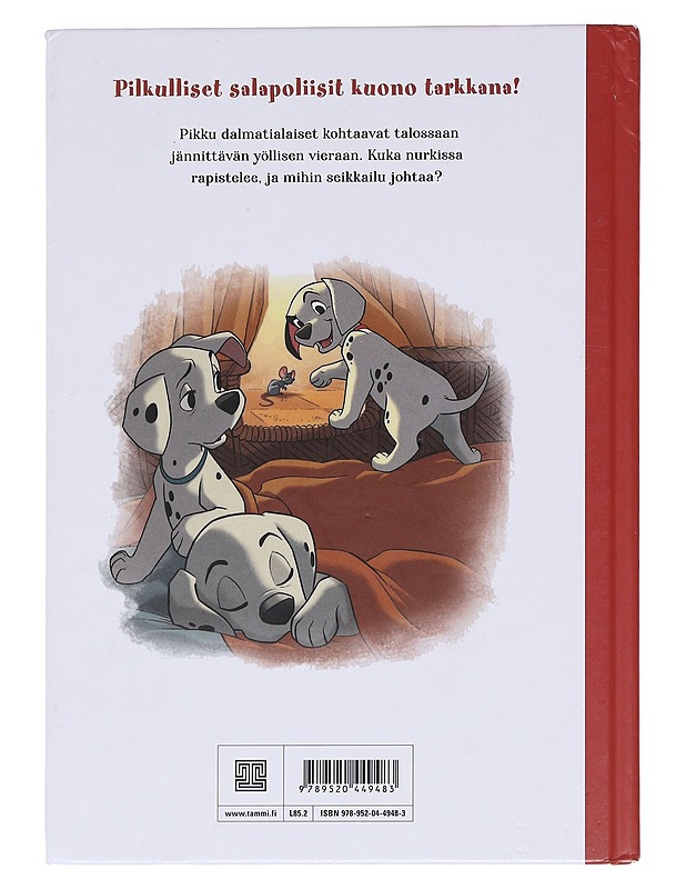 Seikkailujen yö - Lagonegro, Melissa - Lastenkirjat - 10105587704 - 1