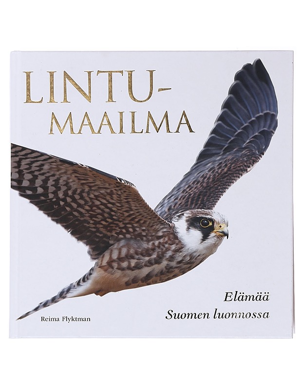 Lintumaailma: Elämää Suomen luonnossa - Reima Flyktman - Tietokirjat ja oppaat - 10105587962 - 0