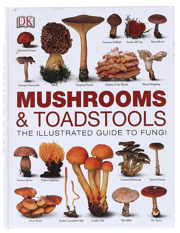 Mushrooms & toadstools : the definitive guide to fungi - Thomas Læssøe - Tietokirjat ja oppaat - 10105588026 - 0