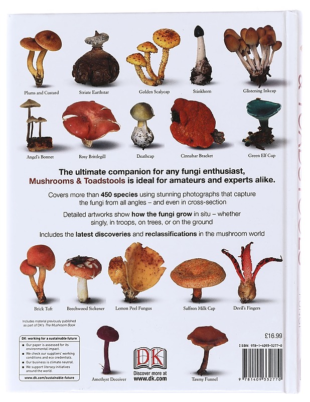 Mushrooms & toadstools : the definitive guide to fungi - Thomas Læssøe - Tietokirjat ja oppaat - 10105588026 - 1