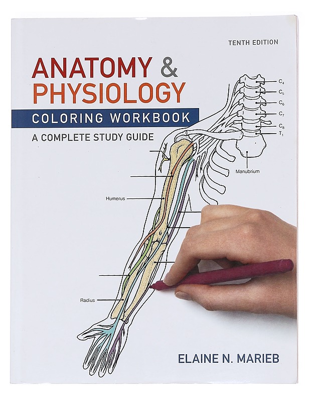 Anatomy & Physiology: Coloring Workbook, a complete study guide 10th edition - Elaine N. Marieb - Tietokirjat ja oppaat - 10105588099 - 0
