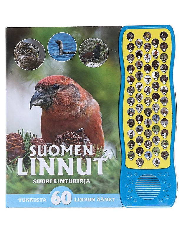 Suomen linnut : Suuri lintukirja - Flyktman, Reima - Lastenkirjat - 10105588115 - 0