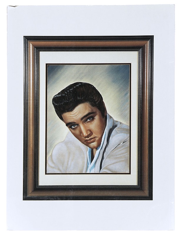 Elvis Presley'sivua : Graceland - Tietokirjat ja oppaat - 10105588269 - 1