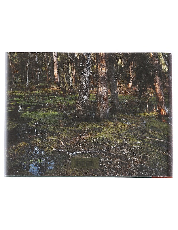 Metsään mieleni - Sepänmaa, Yrjö - Tietokirjat ja oppaat - 10105588337 - 1