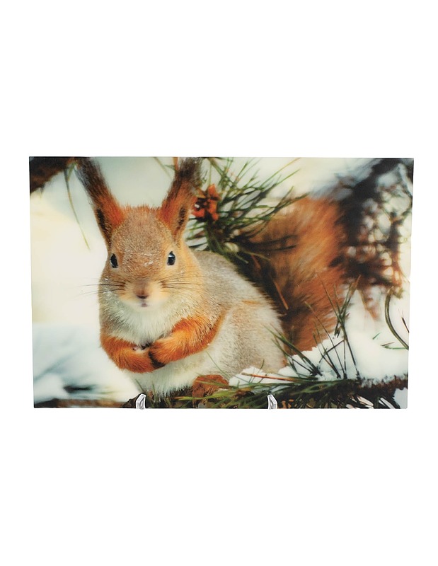 Eläinaiheinen 3D- muovipostikortti, 30x 20 cm - Askartelu - 10105589128 - 0