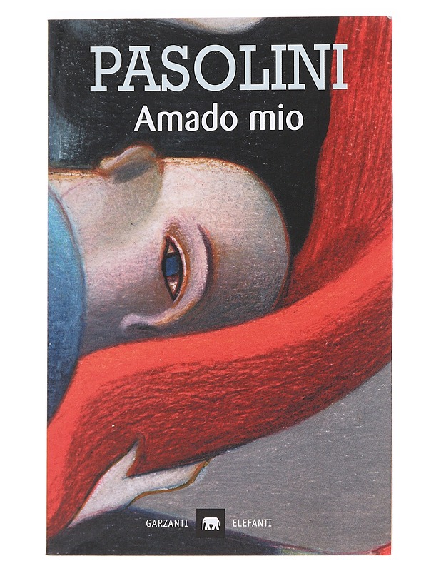 Amado mio - Pier Paolo Pasolini - Romaanit ja novellit - 10105589274 - 0