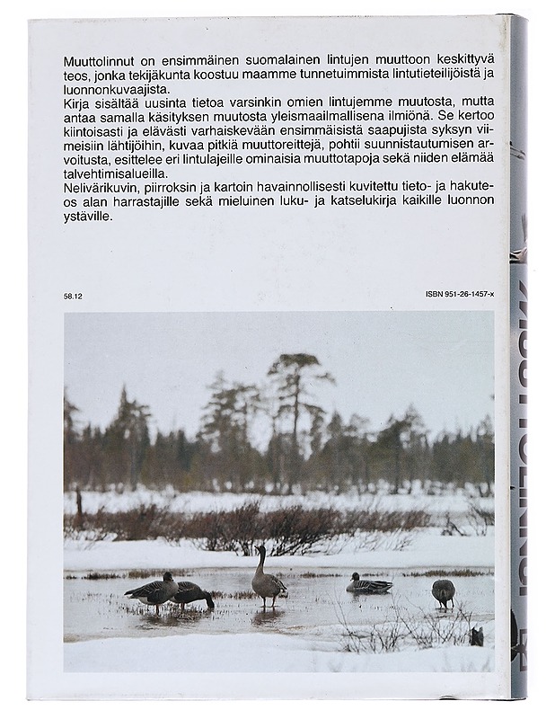 Muuttolinnut - Olavi Hildén, Juha Tiainen, Risto Valjakka - Tietokirjat - 10105589651 - 1