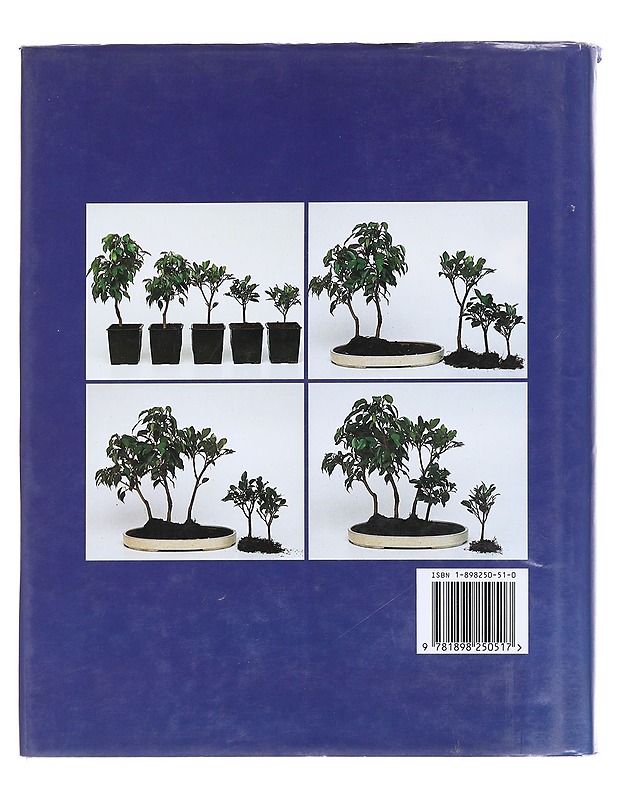 Bonsai - Luigi Crespi - Harrastekirjat - 10105589826 - 1