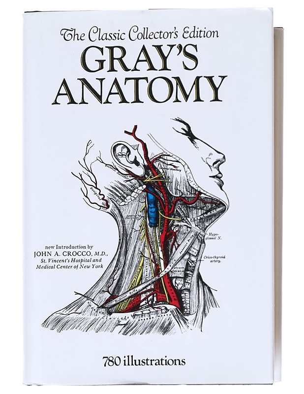 Anatomy / descriptive and surgical - Gray, Henry - Tietokirjat - 10105590179 - 0