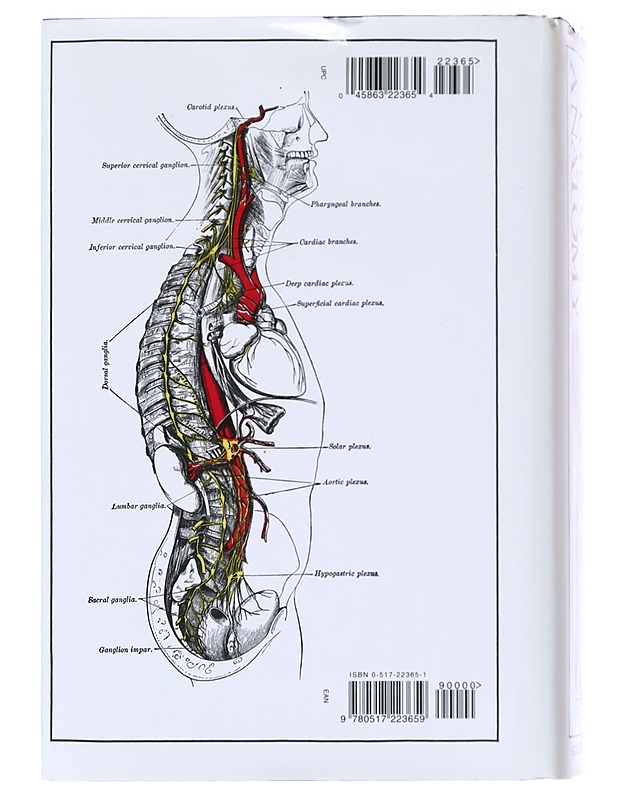 Anatomy / descriptive and surgical - Gray, Henry - Tietokirjat - 10105590179 - 1