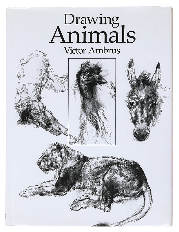Drawing animals - Ambrus, Victor - Tietokirjat ja oppaat - 10105590298 - 0