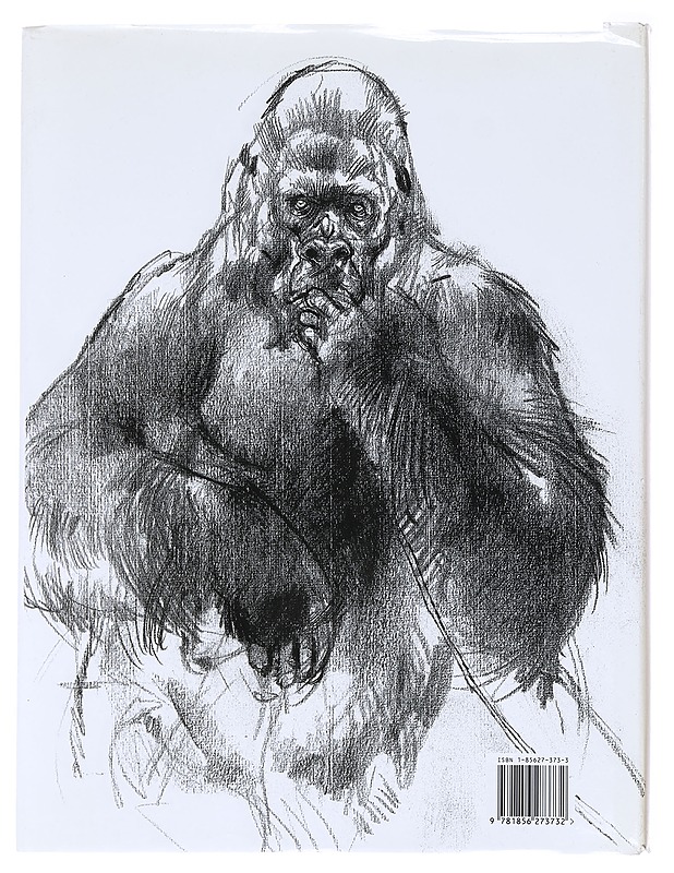 Drawing animals - Ambrus, Victor - Tietokirjat ja oppaat - 10105590298 - 1