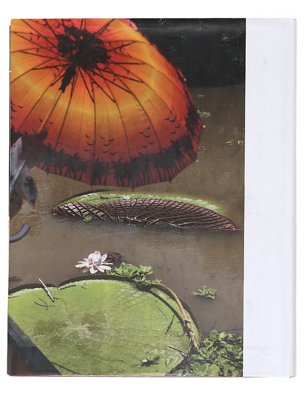 Wolfgang Tillmans - Taide- ja kulttuurikirjat - 10105590377 - 1