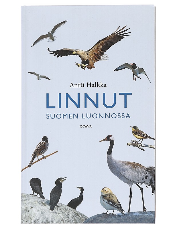 Linnut Suomen luonnossa - Halkka, Antti - Lemmikki- ja luontokirjat - 10105590849 - 0