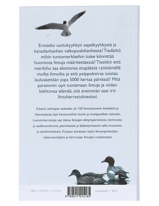 Linnut Suomen luonnossa - Halkka, Antti - Lemmikki- ja luontokirjat - 10105590849 - 1
