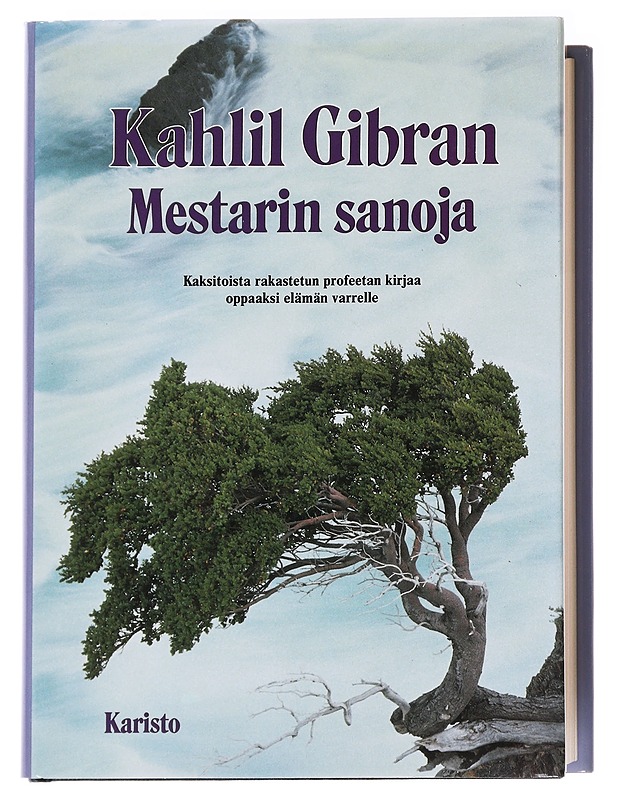 Mestarin sanoja - Gibran, Kahlil - Hyvinvointikirjat - 10105590865 - 0